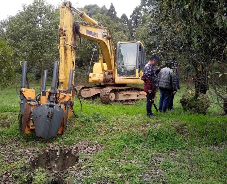 Tree Spade Tree Spade